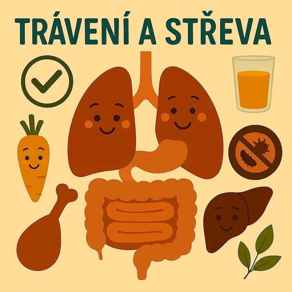 Zdravé trávení a střeva